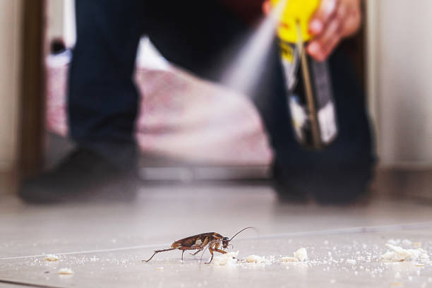 Best Pest Control Near Me in Lechee, AZ