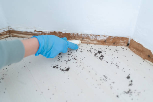 Best Exterminator Services  in Lechee, AZ